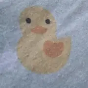 あひる2号の画像