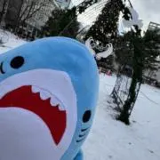 シエル*値下＆バラ売不可の画像