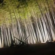たく