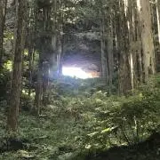 yasの画像