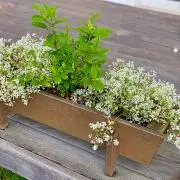 flowerloverの画像
