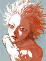 Firmanの画像