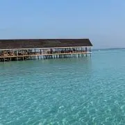 すんの画像