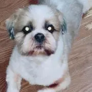 ナミ