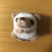 キノピコ☆プロフ必読の画像