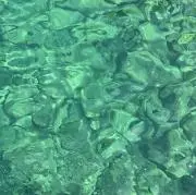 おにおんの画像