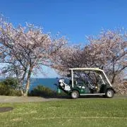 maの画像