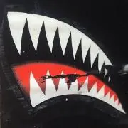bb69の画像