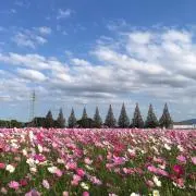 ゆうちゃんの画像