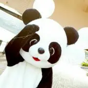 とよの画像