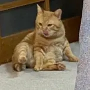 m iの画像