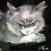 きょうこ