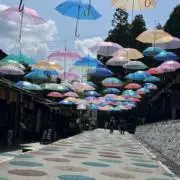 ⭐︎の画像