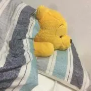 みずき