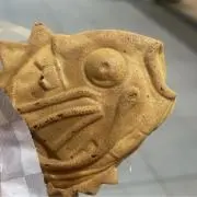 メガ牛エモ盛り