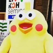 mikiの画像