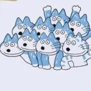フカヒレ太郎の画像