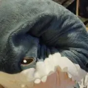 ちびたんく監督の画像