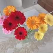 あーさんの画像