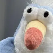 とりの画像