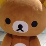 くまっちの画像