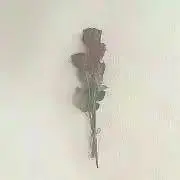 k ※プロフ必読の画像