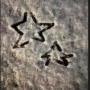 cの画像