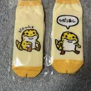 ニッキーの画像