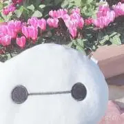 あいかの画像