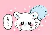 ひろ＊詳細プロフの画像