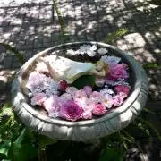 天の川の画像