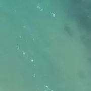 kaの画像