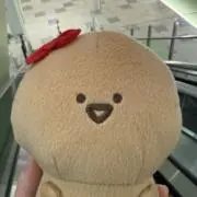 びいの画像