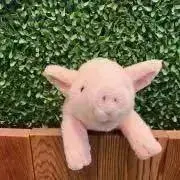 べこの画像