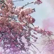 サリィ✱プロフご確認下さいの画像