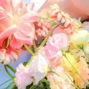 UYUの画像