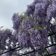 もいもい【断捨離】