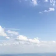めめ