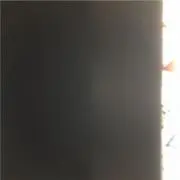 メロン