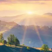 SUNの画像