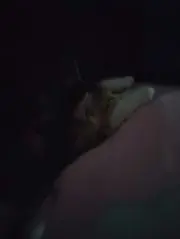 は