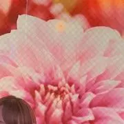ひめかの画像
