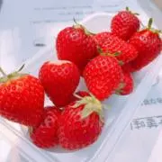 saeの画像