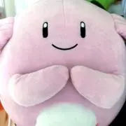 ラッキーの画像