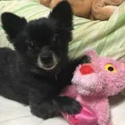 ななな73の画像