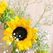 なたんの画像