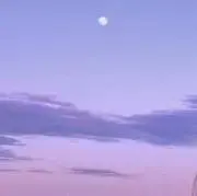 わさ
