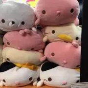 えゆな プロフ必読の画像