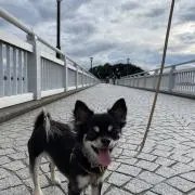 まぁーちゃんの画像