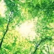 桂木✤詳細はプロフにての画像